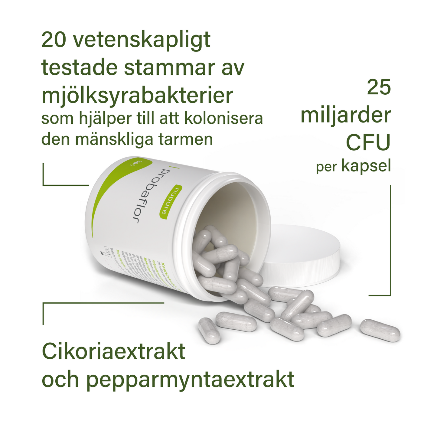 probaflor