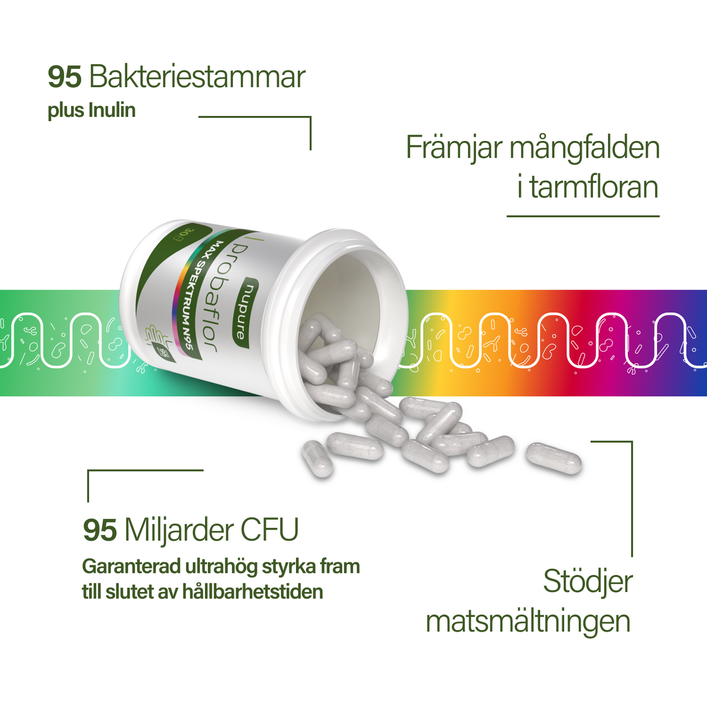 probaflor MAX SPEKTRUM N95