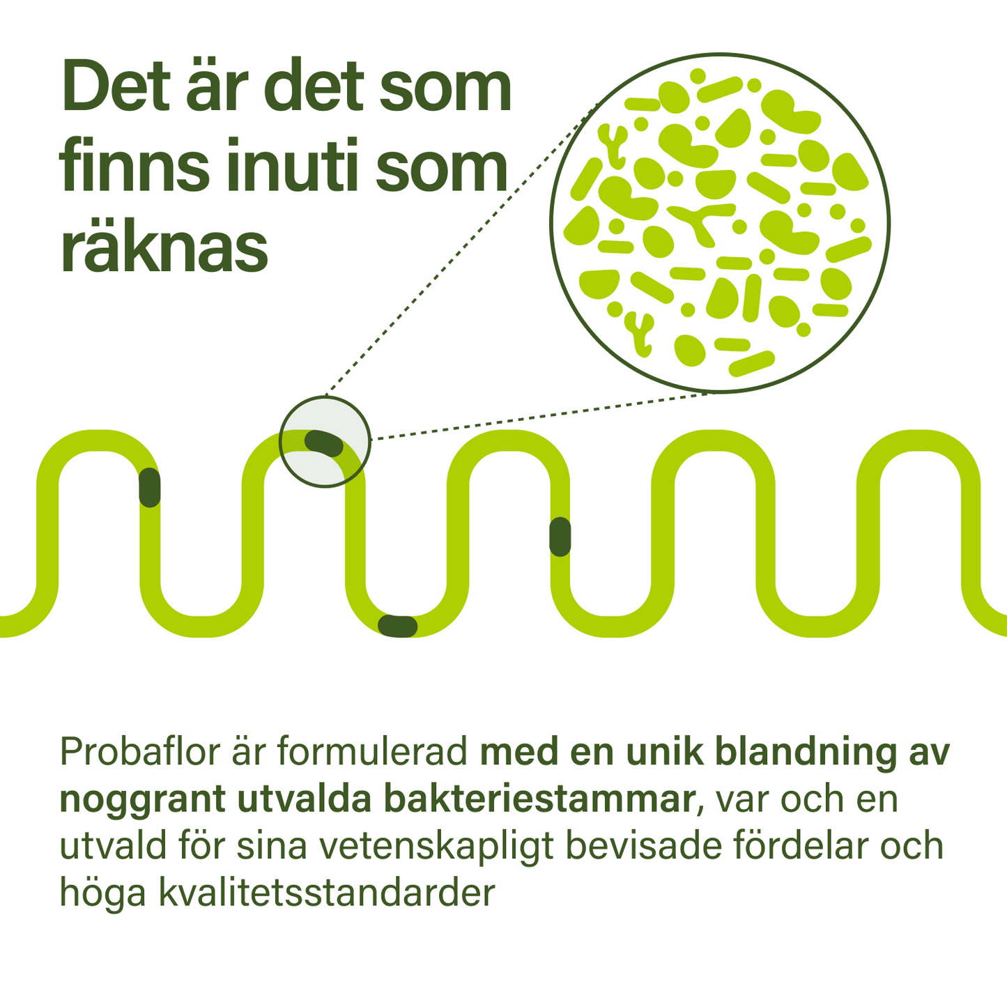 probaflor