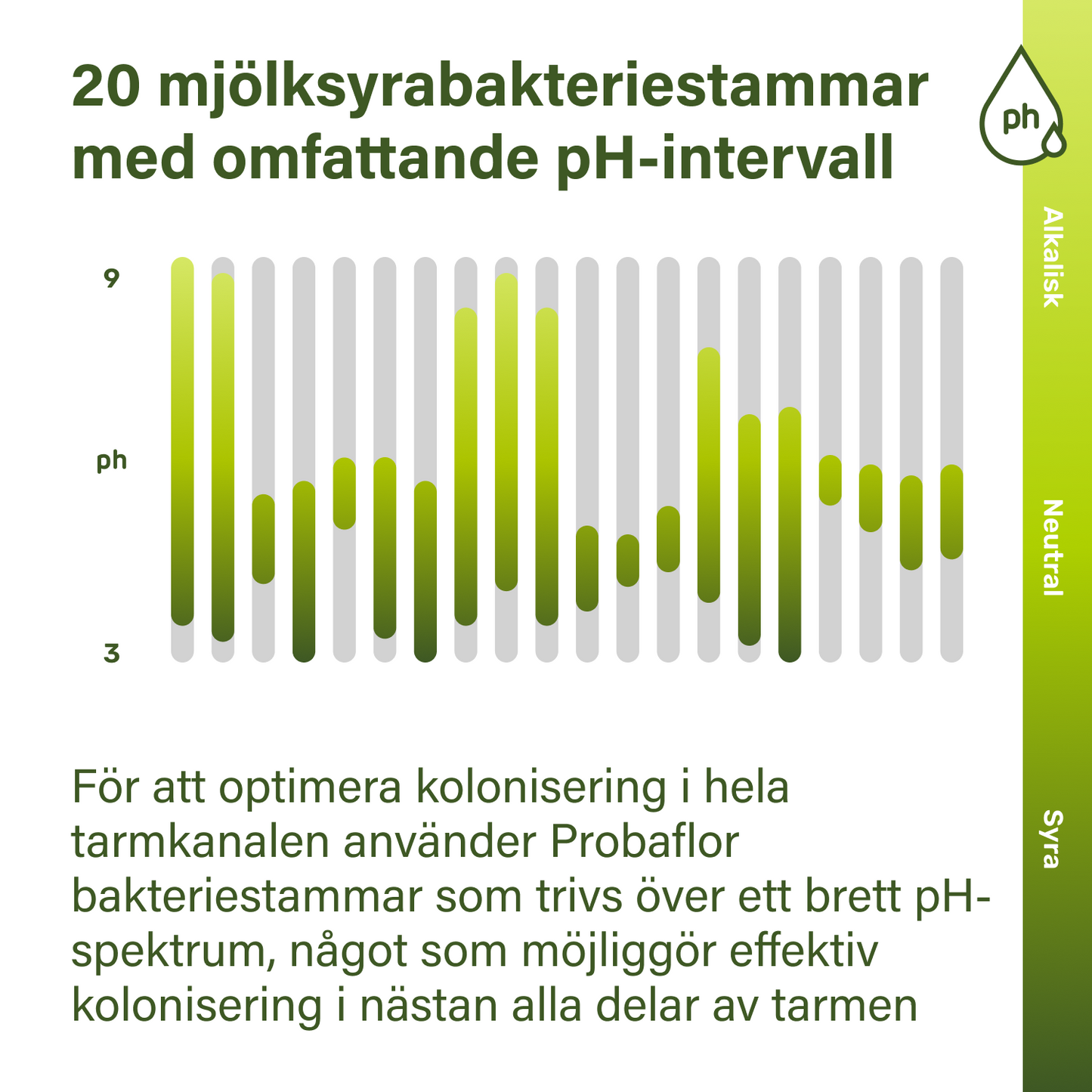 probaflor