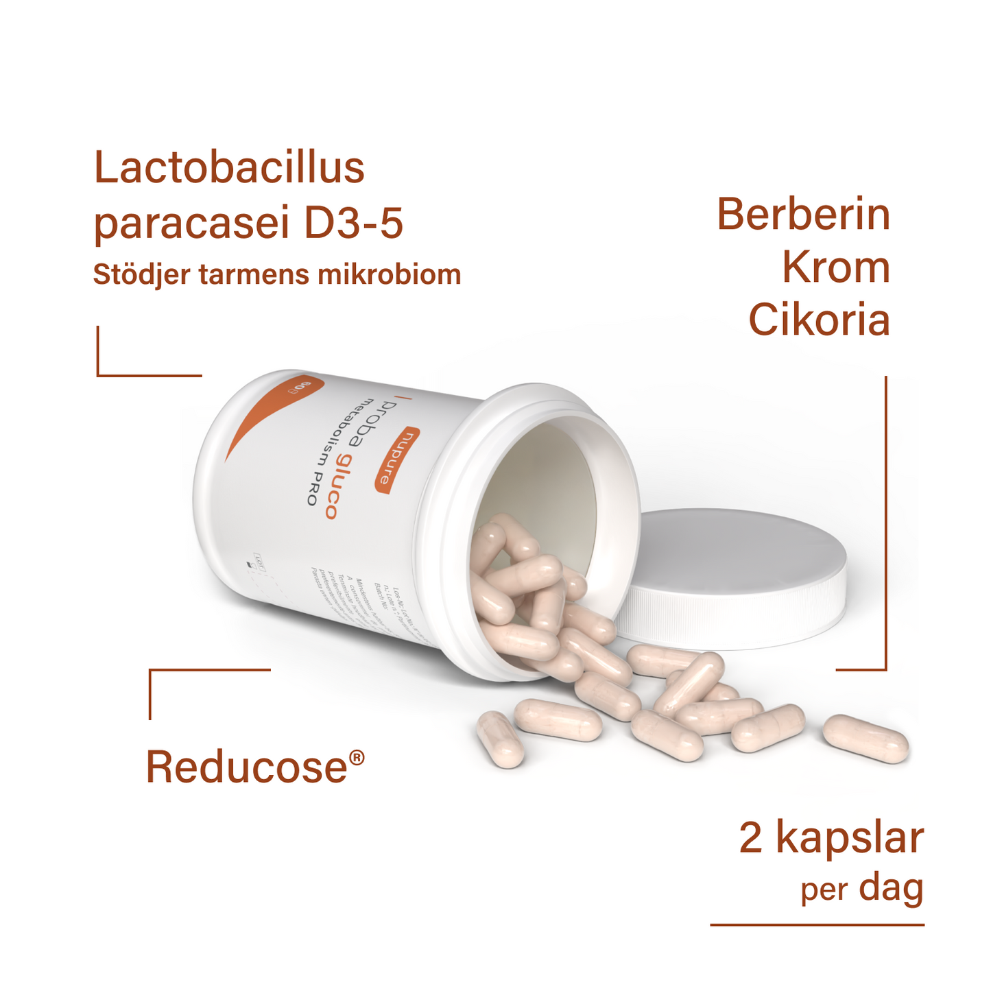 proba gluco metabolism PRO
