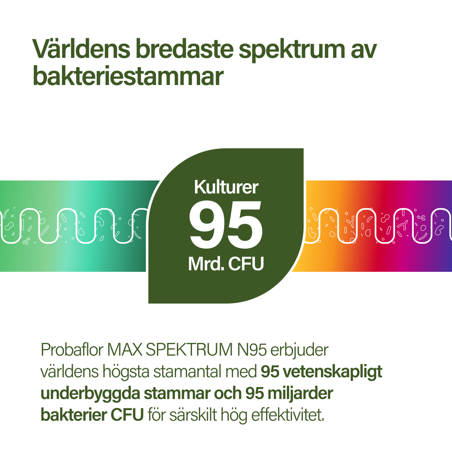 probaflor MAX SPEKTRUM N95